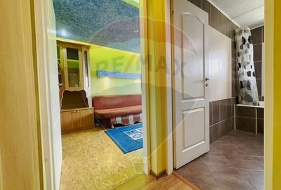 Apartament cu 2 camere de vanzare in zona Aradului - 10