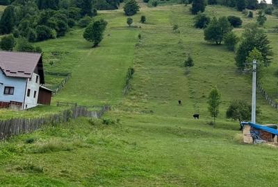 Spațiu comercial, în Poiana Micului - 6