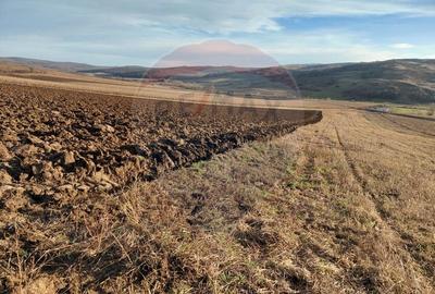 Teren agricol intravilan de 7200 mp, în Secuieni - 3