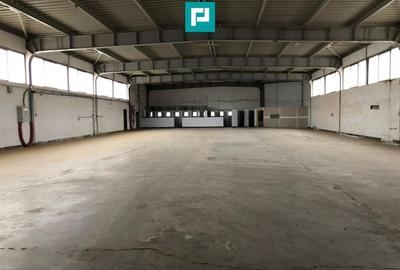 Hală cu teren intravilan de 3500 mp, în Sebiș Arad - 3