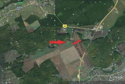 Teren de 28000 mp, în Snagov - 1