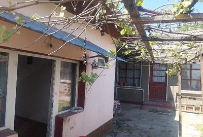 Casă cu Teren 500 Mp în Central - 3