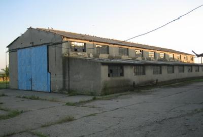 Teren intravilan 15.000 mp cu 3 hale industriale - Poarta Alba - 7