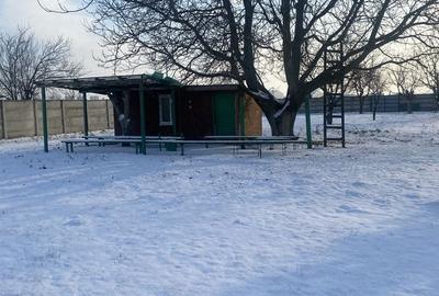 Teren de 1500 mp, în Tunari - 3