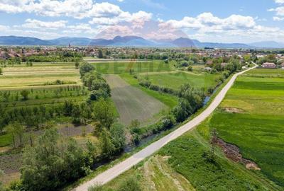 Teren agricol extravilan de 25100 mp, în Prejmer - 16