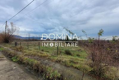 Teren de 5000 mp, în Central - 3