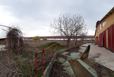 Proprietate specială, de 5,441 mp, în Vâlcelele - 12