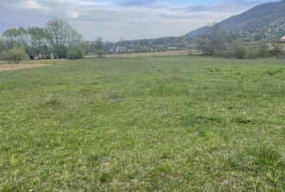 Teren de 5400 mp, în Copalnic - 2