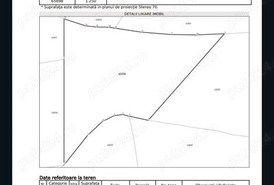 Casă cu 4 camere cu Teren 2650 Mp în Țârdenii Mari - 6