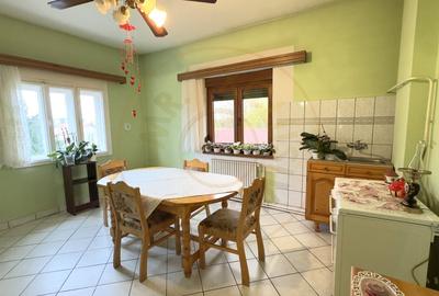 Casa 7 camere cu Teren 4.620 mp | Potential pentru rezidenta sau afacere | Carei - 6