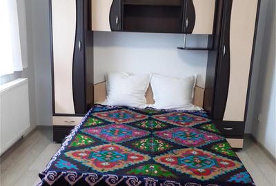 Casă cu 2 camere în Cârțișoara - 9