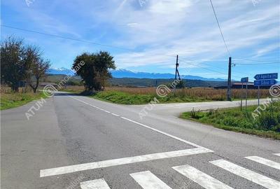 Teren pretabil investitie in Daia judet Sibiu - 8