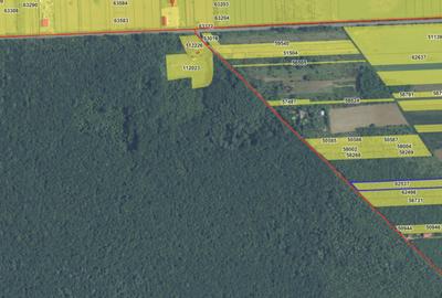 `Teren cu dubla deschidere, langa padure, Snagov - Strada Pa - 4