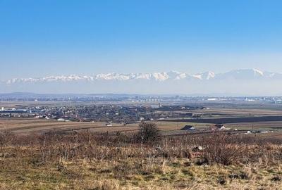 Teren de 607 mp, în Rusciori - 4