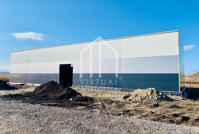 Spațiu industrial, de 528 mp, în Vest - 7