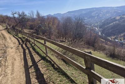 Casă individuală cu 6 camere cu Teren 1043 Mp în Bistra - 8