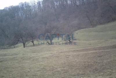 Teren intravilan jud. Mures - 5