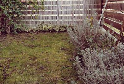 Apartament cu 2 camere în Sânpetru - 1