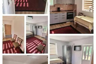 Schimb casa in loc. Ladesti, jud Valcea cu ap cu 2 camere in Rm Valcea - 3