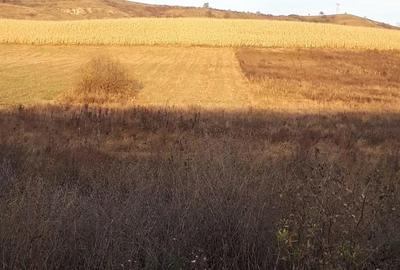 Teren de 1700 mp, în Central - 3