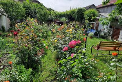 Casa renovata in Galsa, locatie foarte buna, bransamente la toate utilitatile - 11