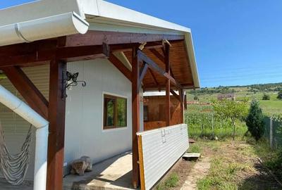 Casă cu 2 camere în Corușu - 4