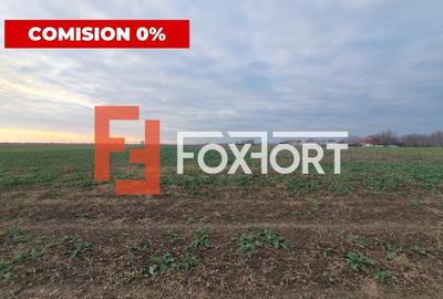 COMISION 0% Teren extravilan 20.000 mp la sosea in Sag - 3