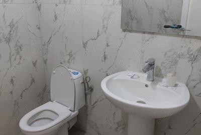 Apartament cu 3 camere decomandat în Ostroveni - 11