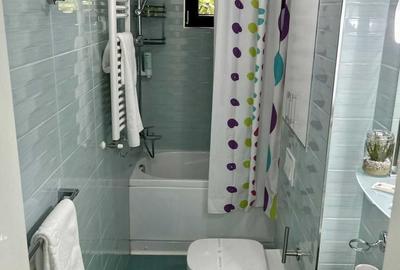 Garsonieră decomandată în Dristor - 8