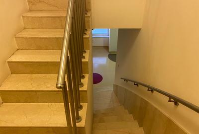 Inchiriere spatiu comercial P+1  230mp curte terasa ideal investitie Aviatorilor - 9