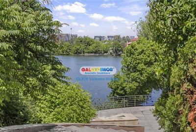 Vila Lacul TEI PETRICANI INSULA LAC 1900 MP TEREN - 7