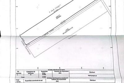Domnesti Teren 6000mp Salciei- Haltei- Ciocarliei Drum asfaltat cu utilitati - 5