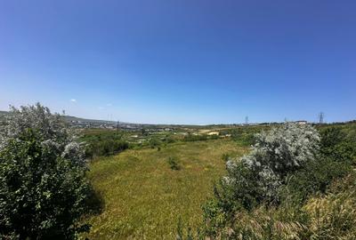 Teren intravilan, 1155mp - zona Antibiotice, la 300m de soseaua principala DN28