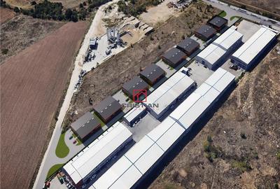 OCAZIE..BLACK FRIDAY... depozit/hala/spatiu industrial Pante - 28