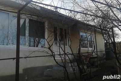 Casă cu 4 camere cu Teren 2000 Mp în Scurta - 4