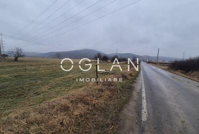 Teren extravilan 11.300 mp, front 39 m, Selimbar - 4