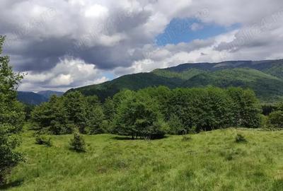Teren de 2750 mp, în Slatina - 7