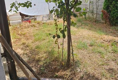 Vila tip dupex-gata de mutare/Com.Berceni - 5