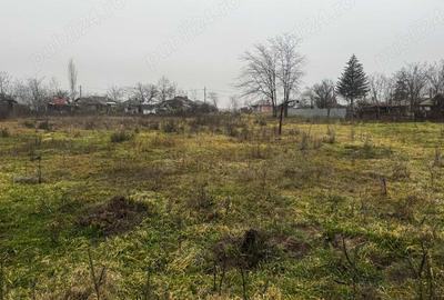 Spațiu comercial, în Alexandriei