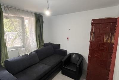 Casa de vacanta - Munteni Buzau - Jutetul Ialomita - Curte 2000mp - 10