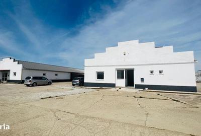 Spațiu comercial, de 700 mp, în Aradul Nou - 3