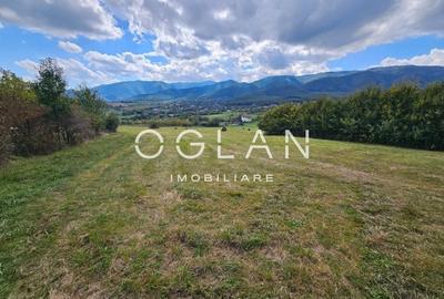 Teren Tocile (parcelabil) 3500 mp - 14