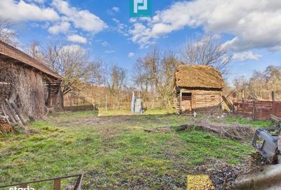 Casă cu 5 camere cu Teren 1629 Mp în Târnova - 1