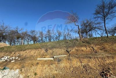 Teren Construcții intravilan de 1170 mp, în Cărbunari - 7