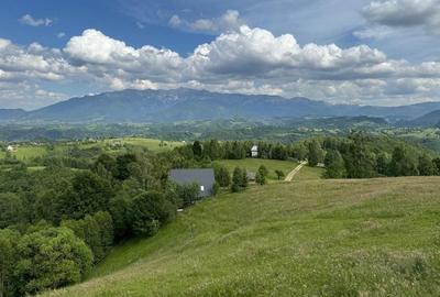 Teren inconjurat de natura de vanzare in Pestera - 1