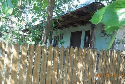 Casa taraneasca si teren comuna Murgasi sat Balota de Jos DJ - 1