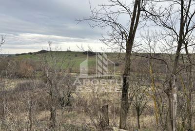 Teren 1942 mp, ideal casa de vacanta, alte activitati, Herneacova. - 2