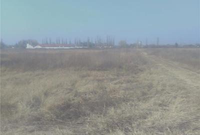 Teren de 8900 mp, în Șimian - 1