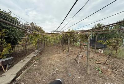 Casă cu 5 camere în Central - 5