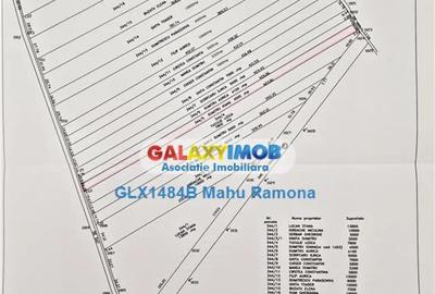 Teren în Uliești - 3